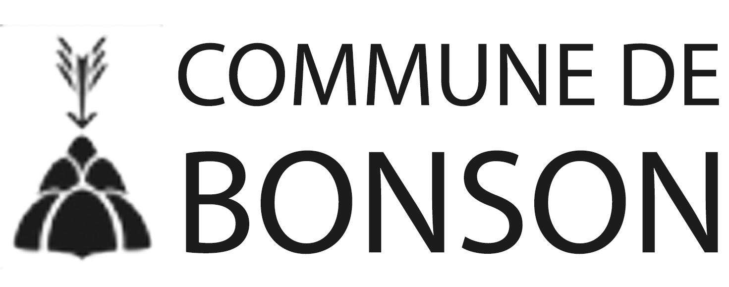 Bonson Logo